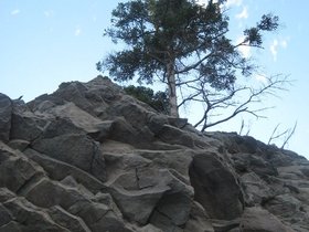 IMG_4193.JPG