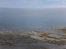 IMG_4970.JPG
