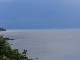 IMG_4973.JPG