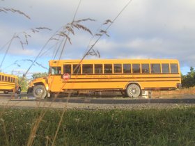 IMG_4974.JPG