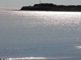 IMG_4976.JPG