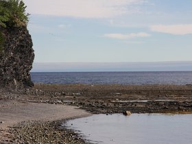 IMG_4978.JPG