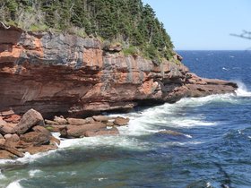 IMG_4982.JPG