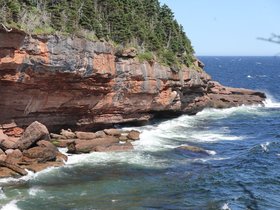IMG_4983.JPG