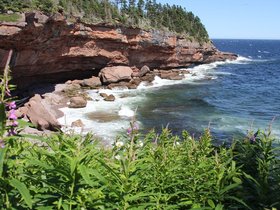 IMG_4984.JPG