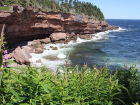 IMG_4985.JPG
