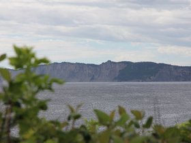 IMG_4990.JPG