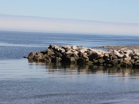 IMG_4993.JPG