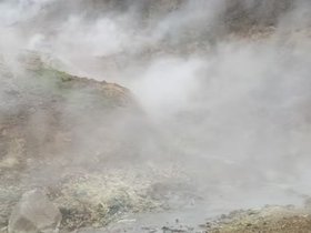 PXL_20240520_161946329.webm