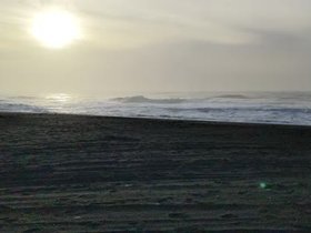 PXL_20241106_111332499.webm