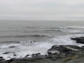 PXL_20241108_143535363.webm