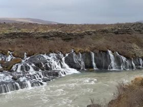 PXL_20241113_130705836.webm