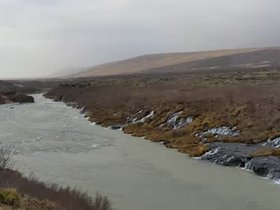 PXL_20241113_130723081.webm