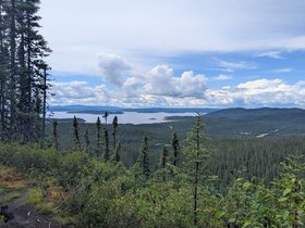 IMG-20260814-WA0002.jpg