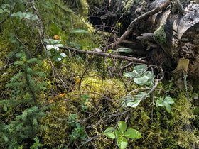 IMG-20260814-WA0005.jpg