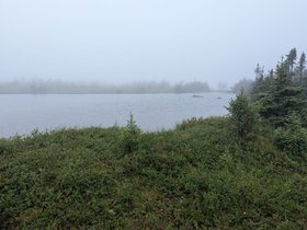 IMG-20260814-WA0024.jpg