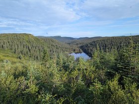 IMG-20260814-WA0042.jpg
