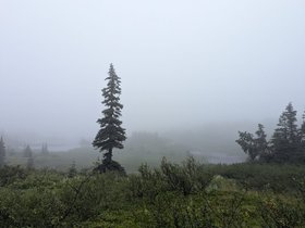 IMG-20260814-WA0050.jpg