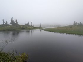 IMG-20260814-WA0052.jpg