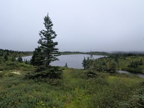 IMG-20260814-WA0056.jpg