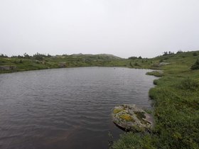 IMG-20260814-WA0074.jpg