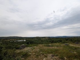 IMG-20260814-WA0082.jpg