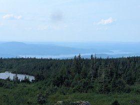 IMG-20260814-WA0130.jpg