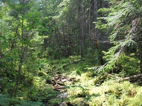 IMG_6332.JPG