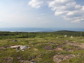 IMG_6335.JPG