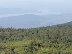 IMG_6336.JPG