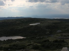 IMG_6337.JPG
