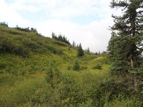 IMG_6345.JPG