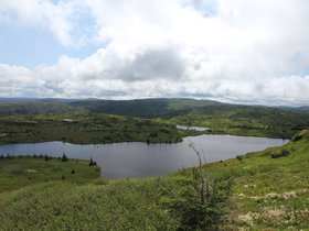 IMG_6346.JPG