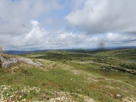 IMG_6347.JPG