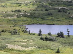 IMG_6349.JPG