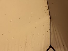 IMG_6351.JPG